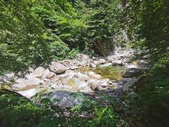 -青峰峡国家森林公园