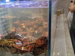 -丰卓会海鲜自助(中润大道店)