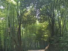 -苏州环秀晓筑养生度假村