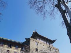 -武汉大学-樱园