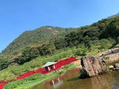 -广州市石门国家森林公园