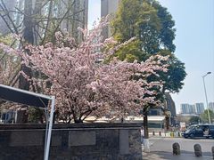 -桂溪生态公园