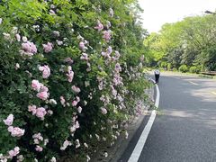 -宝界山林公园