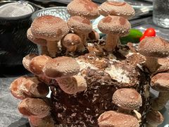 -捞王锅物料理(金华义乌之心店)