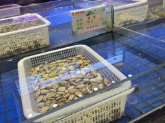 -鑫源渔港(阳光店)