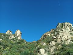 -大岭沟猕猴桃谷风景区