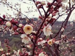 -缥缈峰景区