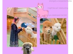 -藦茜花园宠物主题亲子互动体验馆(国顺东路店)