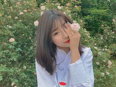-都江堰玫瑰花溪谷