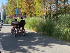 -上海长兴岛郊野公园