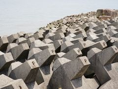 -上海滨江森林公园