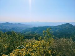 -香山公园
