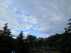 -山东科技大学（青岛校区）-图书馆