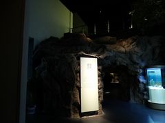 “建置沿革”展厅-嘉定博物馆