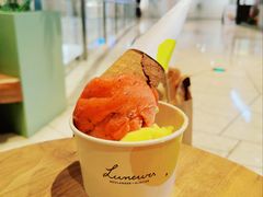 -LUNEURS月乐诗·法式冰淇淋(环贸店)