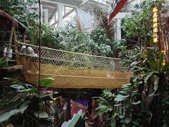 -正佳雨林生态植物园