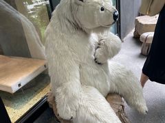 -BOCATA 西班牙餐厅(三里屯店)