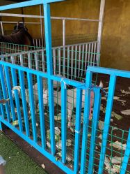 -小蜜蜂农场(凯德七宝购物广场店)