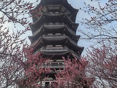 -洋湖国家湿地公园