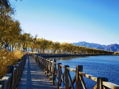 -野鸭湖国家湿地公园