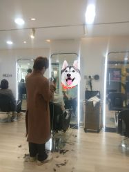 -新晨·SALON·形象造型