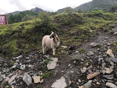 -硗碛藏寨·神木垒景区