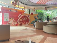 -极光口腔·矫正种植修复(锦江店)
