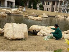 -西昌邛海宾馆