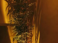 -宁采臣Sleep·采耳·SPA放松馆(湖里万达店)