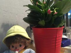 -山色柴火烤披萨·原切牛扒
