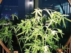 -左庭右院鲜牛肉火锅(浦江欢乐颂店)