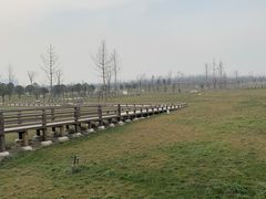 -汉长安城未央宫国家考古遗址公园