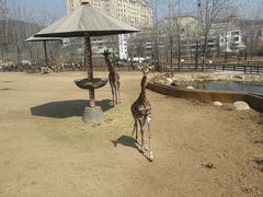 -大连森林动物园