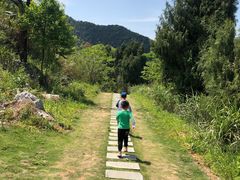 -千岛湖石林