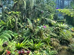 -东莞植物园
