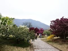 -国家植物园南园