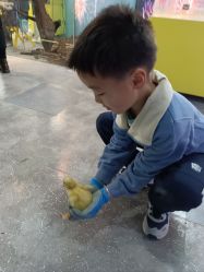 -神奇动物撸宠馆·羊驼·小浣熊·异宠(豫园店)