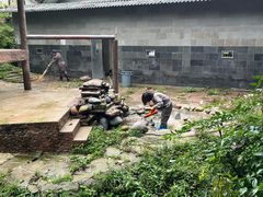 -中国大熊猫保护研究中心雅安碧峰峡基地