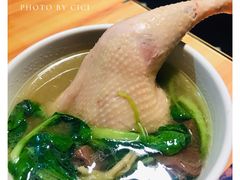 鸡腿汤-富源春面馆(四川北路店)