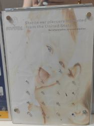 -AI艾耳·专业手工耳洞·穿孔美学馆
