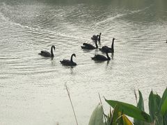 -台山颐和温泉城