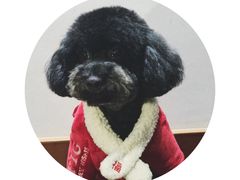 -悠尼宠物·独立低压伊珊娜洗护·美容·寄养(兰谷路店)