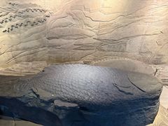 -白鹤梁水下博物馆