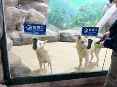 -福州罗源湾海洋世界旅游区