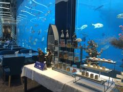 -瑞德姆美人鱼海底演艺主题餐厅(亚龙湾店)