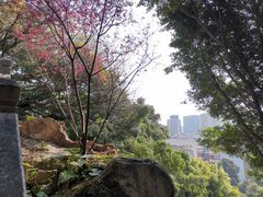 -乌山风景区