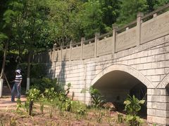 -重庆彩云湖湿地公园