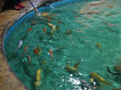-洛阳龙门海洋馆