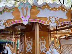 -朝阳公园游乐园