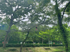 -WeLope紫金山探险公园
